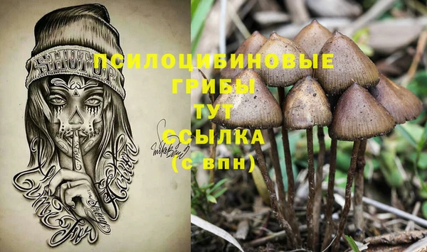 прущая мука Семилуки