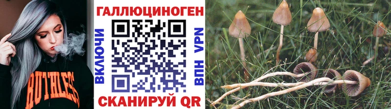 Галлюциногенные грибы мухоморы  Тарко-Сале 